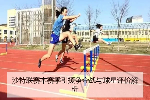 沙特联赛本赛季引援争夺战与球星评价解析